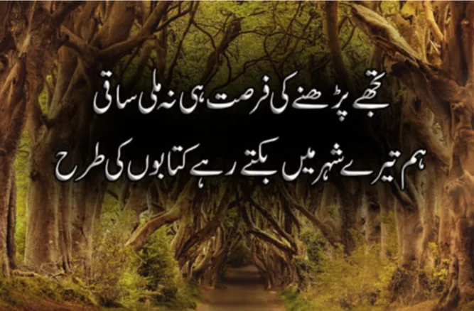Sad Poetry In urdu